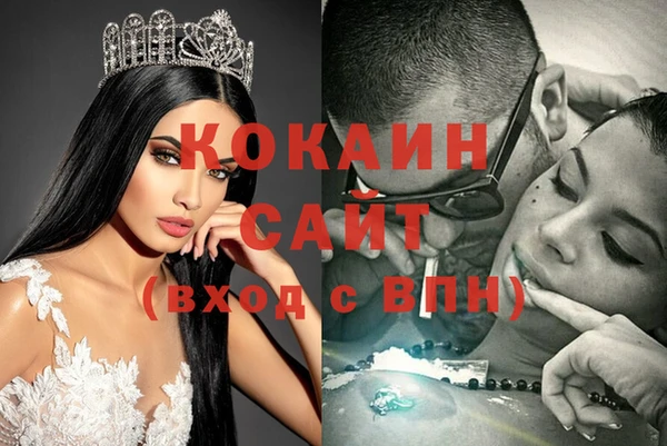 стафф Аркадак