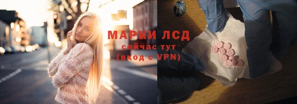 стафф Арсеньев