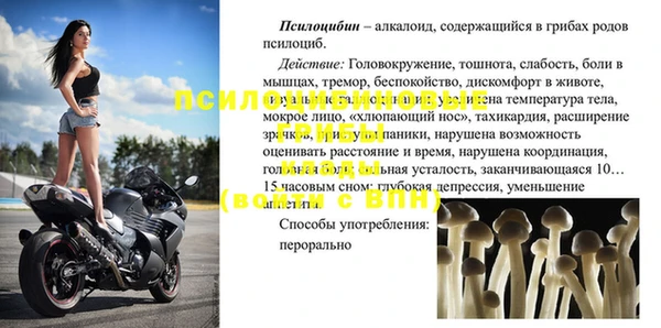 стафф Арсеньев