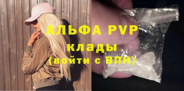 стафф Арсеньев