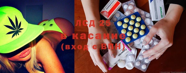 стафф Аркадак
