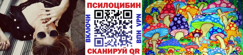 Галлюциногенные грибы Psilocybe  дарнет шоп  Усть-Илимск 